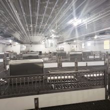 inside nursery barn