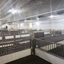 inside nursery barn