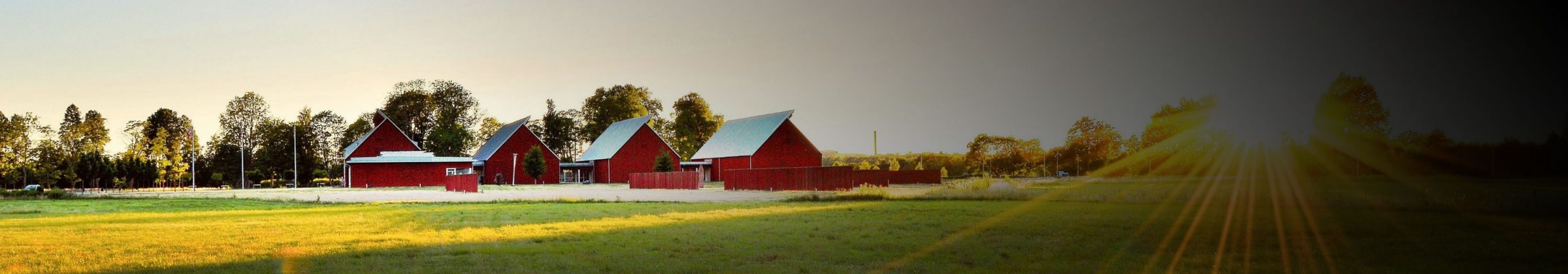 red barns on green field