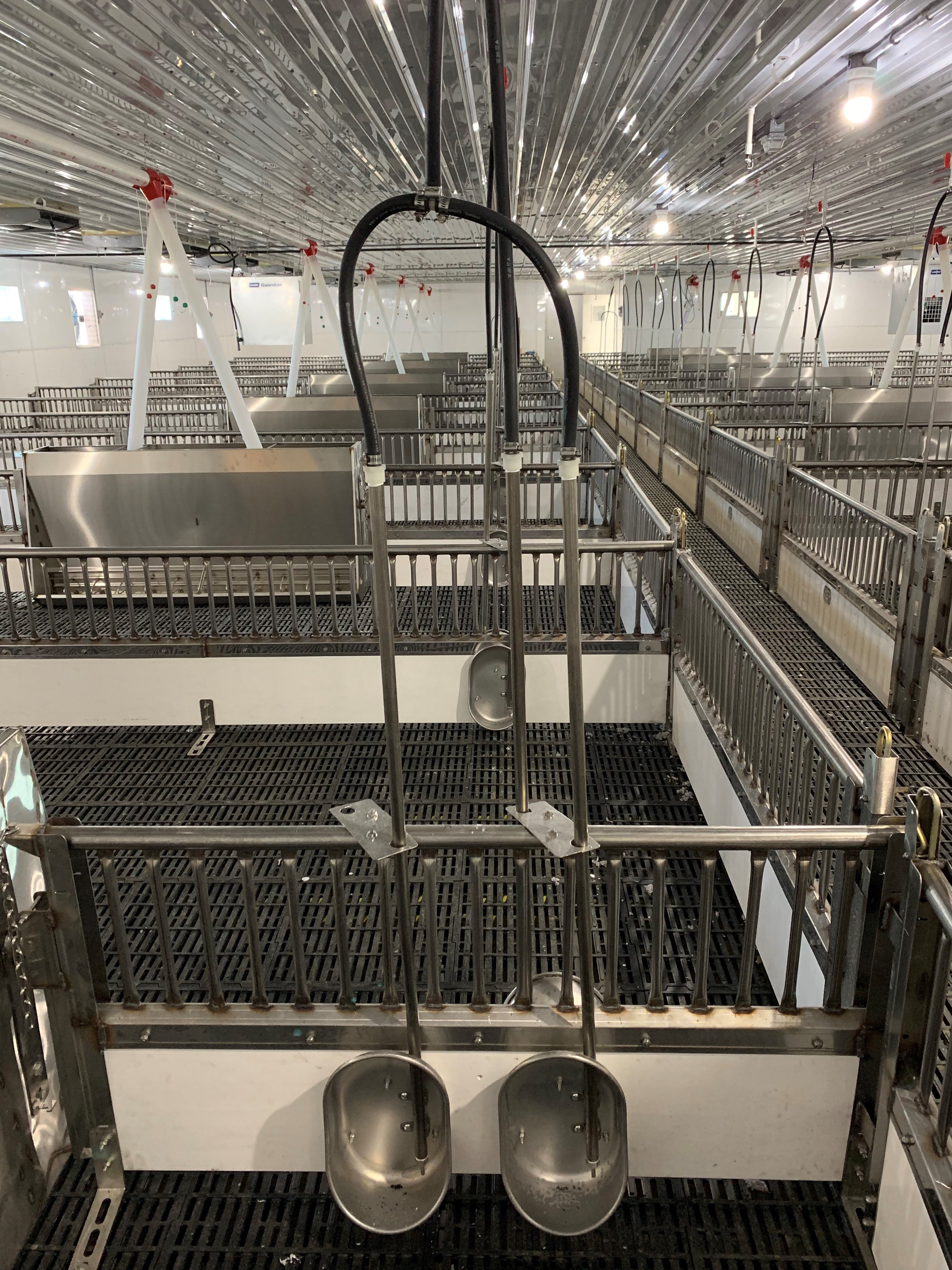 Mike's Nursery 1200 head Van Voorst Equipment