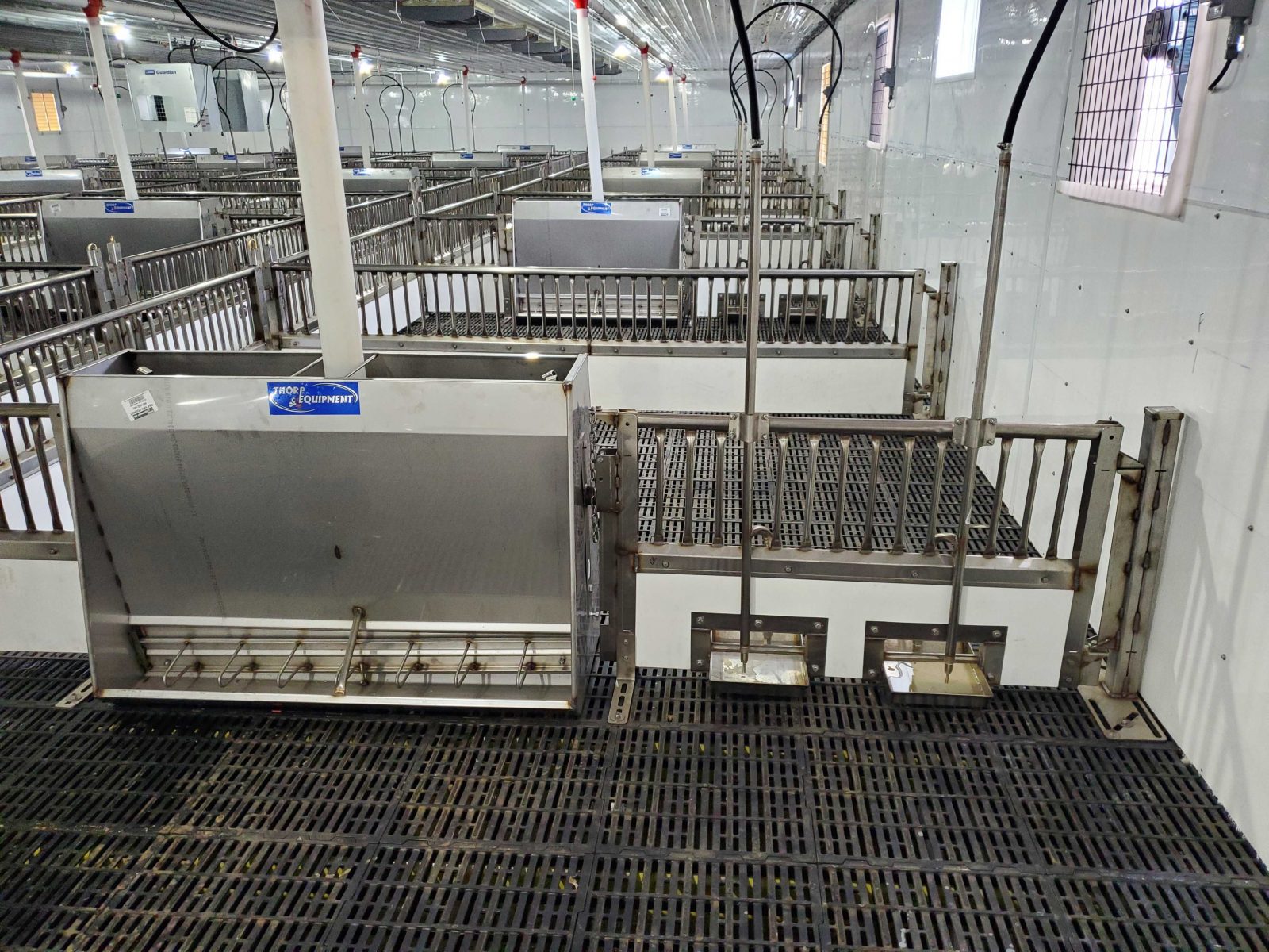 Brad's Nursery 1200 head Van Voorst Equipment