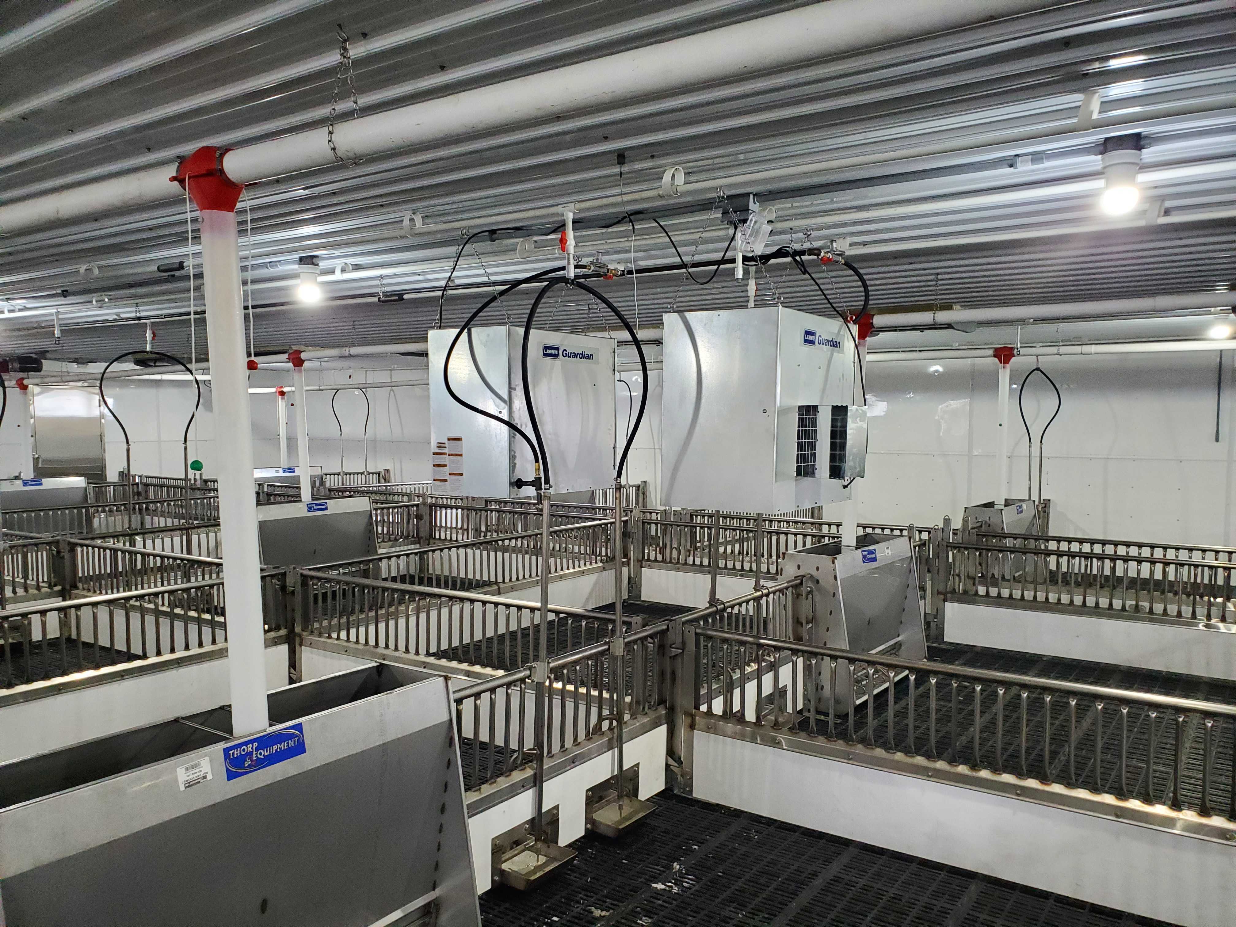 Brad's Nursery 1200 head Van Voorst Equipment