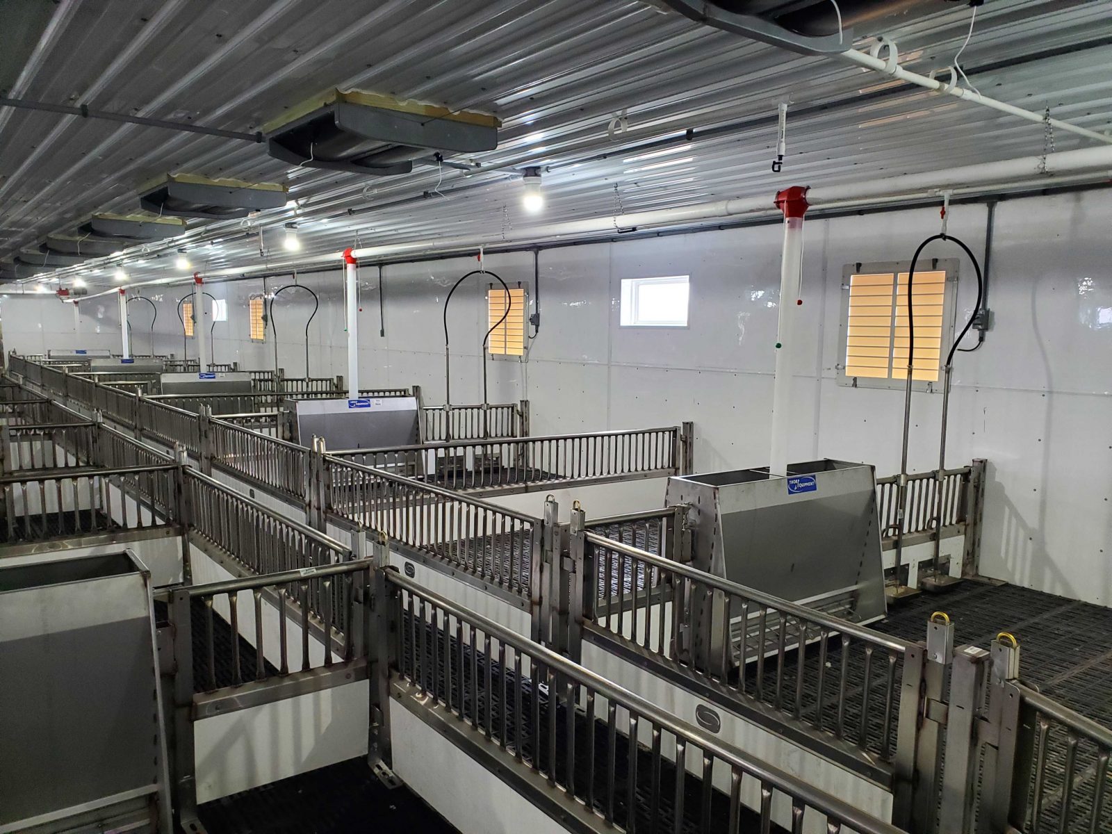 Brad's Nursery 1200 head Van Voorst Equipment