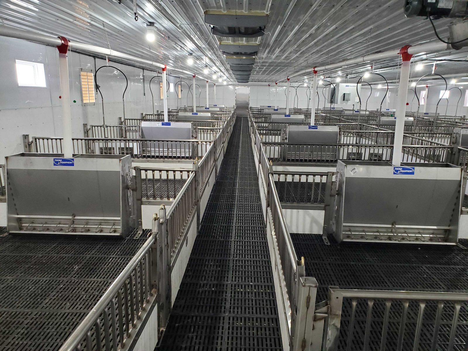 Brad's Nursery 1200 head Van Voorst Equipment