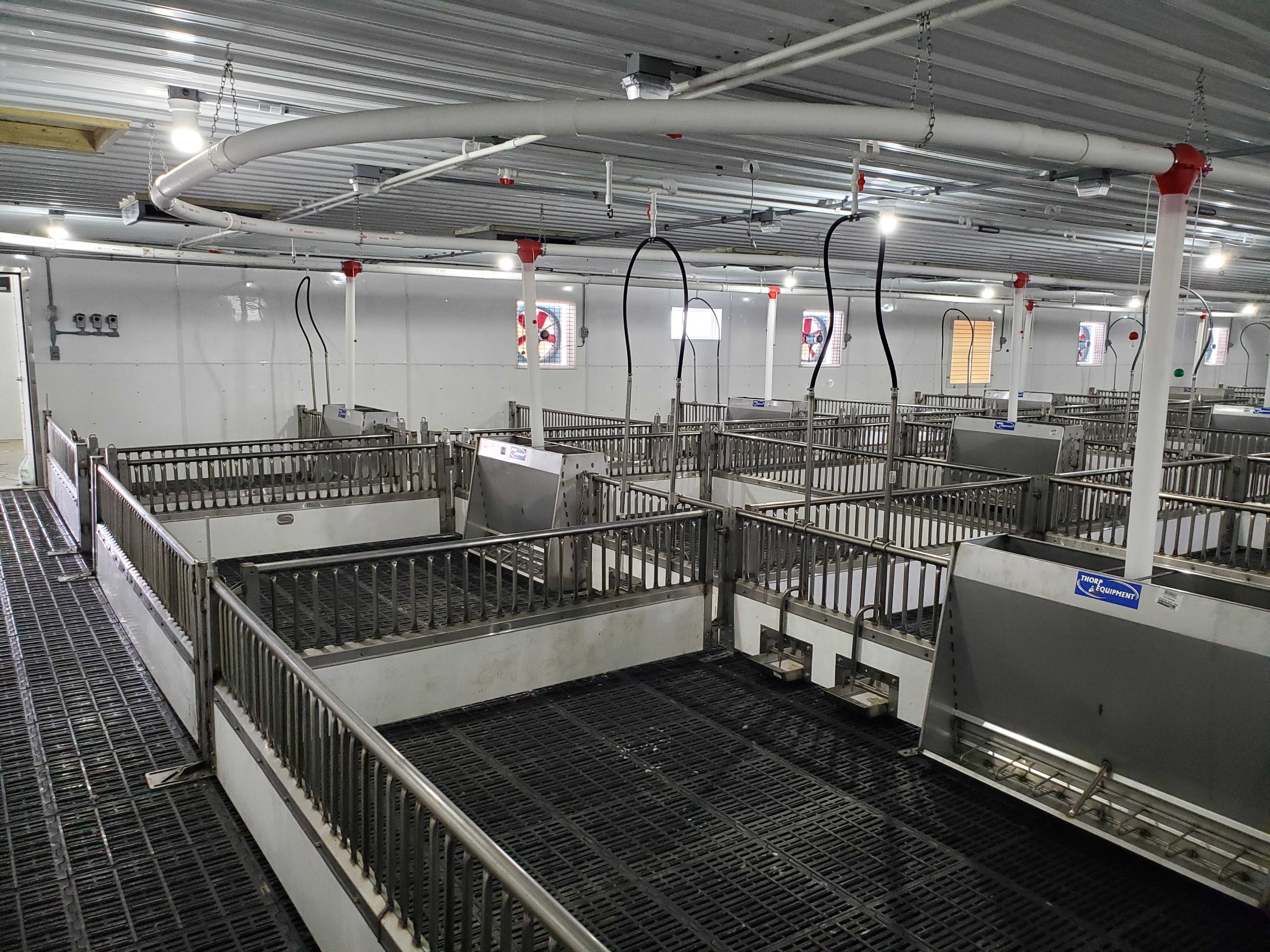 Brad's Nursery 1200 head Van Voorst Equipment